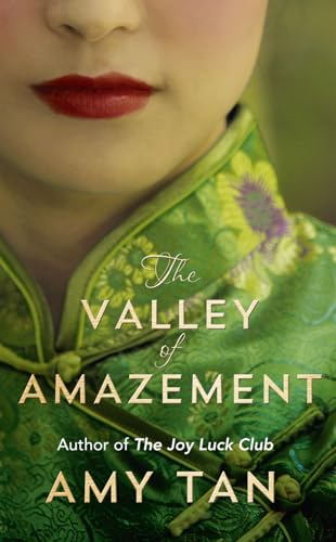 9780007468874: The Valley of Amazement