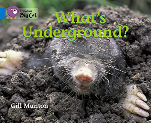 9780007470112: What’s Underground? Workbook (Collins Big Cat)