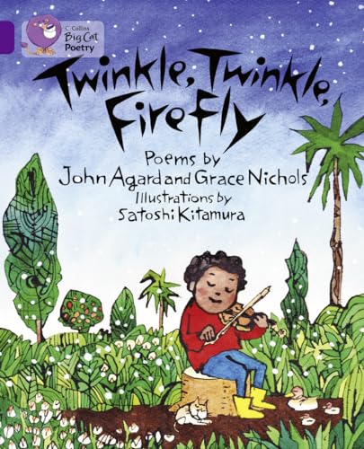 Stock image for Twinkle, Twinkle, Firefly Workbook (Collins Big Cat) for sale by Iridium_Books