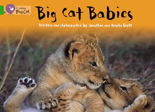 9780007471294: Big Cat Babies Workbook (Collins Big Cat)