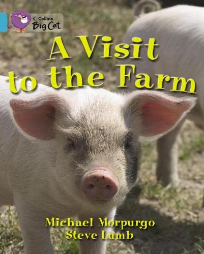 9780007471423: A Visit to the Farm Workbook (Collins Big Cat)