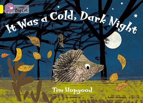 9780007471690: It Was A Cold Dark Night Workbook (Collins Big Cat)