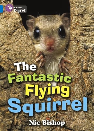9780007472284: The Fantastic Flying Squirrel: Band 04/Blue