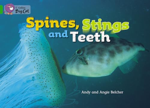 Imagen de archivo de Spines, Stings and Teeth Workbook (Collins Big Cat) a la venta por Iridium_Books