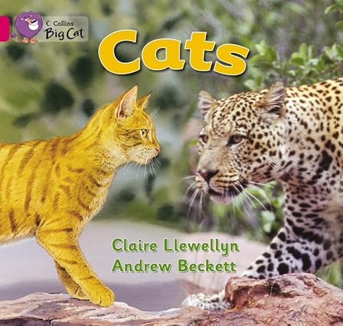 9780007474172: Cats Workbook (Collins Big Cat)