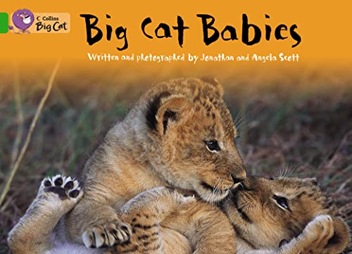 Stock image for Big Cat Babies Workbook (Collins Big Cat) for sale by Iridium_Books