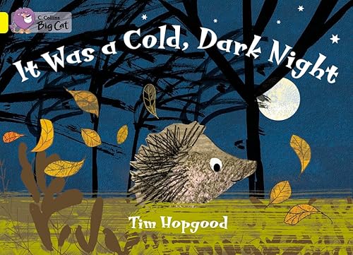 9780007474691: It Was A Cold Dark Night Workbook (Collins Big Cat)