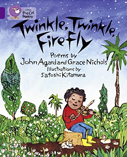 Stock image for Twinkle, Twinkle, Firefly (Collins Big Cat) for sale by Iridium_Books