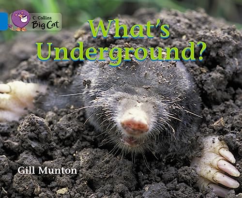 What's Underground? (Collins Big Cat) (9780007475926) by Munton, Gill