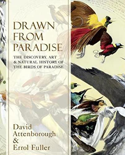 9780007487615: Drawn From Paradise: The Discovery, Art and Natural History of the Birds of Paradise