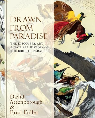 9780007487615: Drawn From Paradise: The Discovery, Art and Natural History of the Birds of Paradise