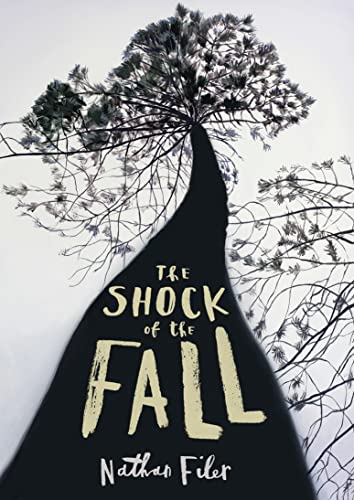 Beispielbild fr The Shock of the Fall zum Verkauf von St Vincent de Paul of Lane County