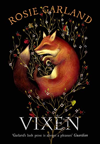 Stock image for Vixen for sale by WorldofBooks