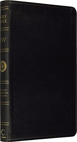 Stock image for Holy Bible: English Standard Version (ESV) Anglicised Black Leather Thinline edition (Esv Bibles) for sale by AwesomeBooks