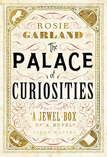 9780007503841: The Palace of Curiosities