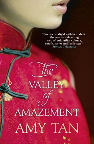 Stock image for The Valley of Amazement for sale by HPB-Emerald