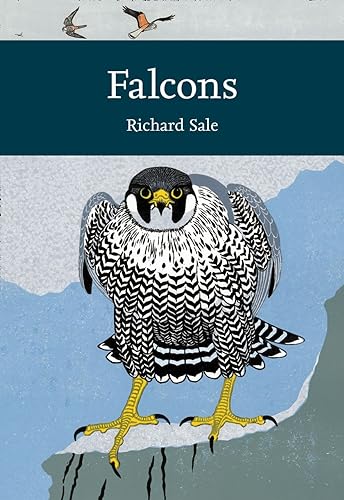 9780007511426: Falcons