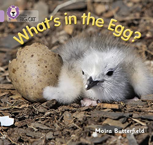 9780007512607: What’s in the Egg?: Band 00/Lilac (Collins Big Cat)