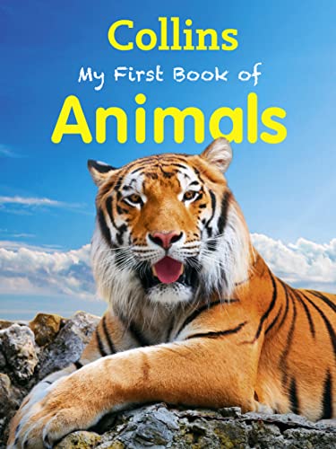 9780007521166: My First Book of Animals (My First)