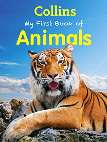 Stock image for My First Book of Animals (My First) for sale by WorldofBooks