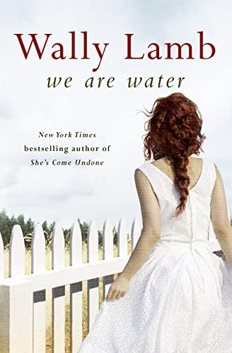 Stock image for We Are Water for sale by WorldofBooks