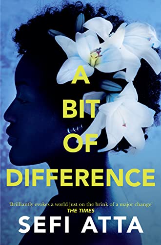 A Bit of Difference - Sefi Atta