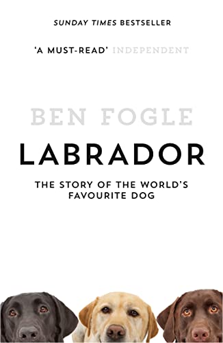 Stock image for Labrador: The Story of the World  s Favourite Dog for sale by AwesomeBooks