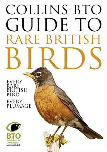 Imagen de archivo de Collins BTO Guide to Rare British Birds a la venta por Reuseabook