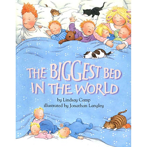 Imagen de archivo de The Biggest Bed in the World a la venta por AwesomeBooks