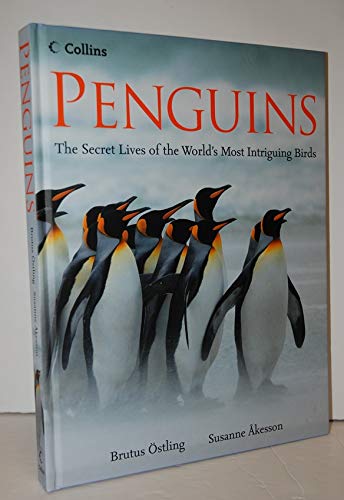 9780007800971: Penguins The secret lives of the world's most intriguing birds
