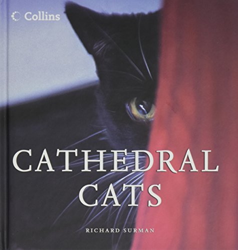 Stock image for Xcathedral Cats Mini ed Bks for sale by Better World Books