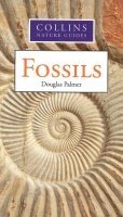 Imagen de archivo de Collins Nature Guides Fossils a la venta por AwesomeBooks