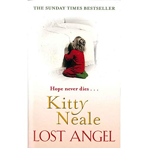 Beispielbild fr Lost Angel (Riverside) zum Verkauf von WorldofBooks