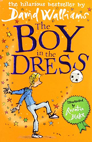 Imagen de archivo de Boy in the Dress a la venta por WorldofBooks