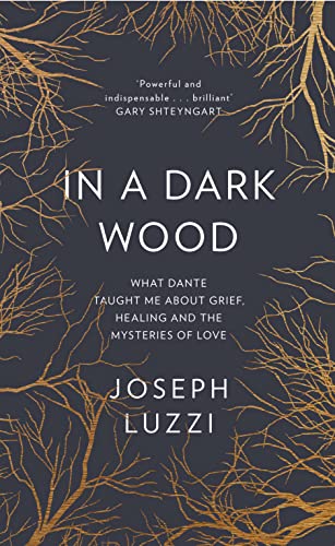Stock image for In a Dark Wood: What Dante Taught Me About Grief, Healing, and the Mysteries of Love for sale by ThriftBooks-Atlanta