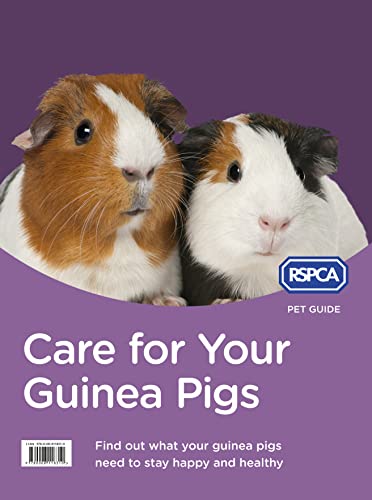 Stock image for Care for Your Guinea Pigs (RSPCA Pet Guide) for sale by SecondSale