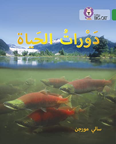 Stock image for Life Cycles: Level 15 (Collins Big Cat Arabic Reading Programme) for sale by Chiron Media