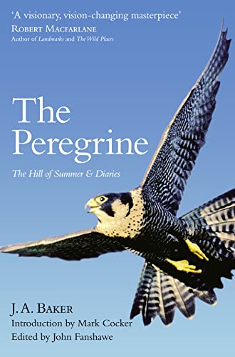9780008138318: The Peregrine [Lingua inglese]: The Hill of Summer & Diaries: The Complete Works of J. A. Baker