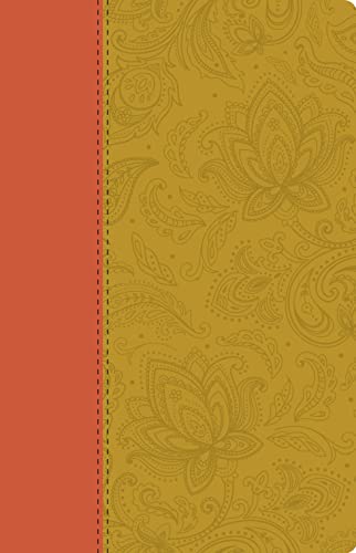 Stock image for Holy Bible: Paisley Tan Thinline Edition (Collins Anglicised ESV Bibles) for sale by Chiron Media