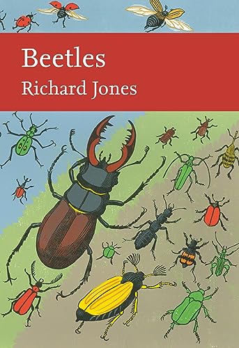 9780008149529: Beetles