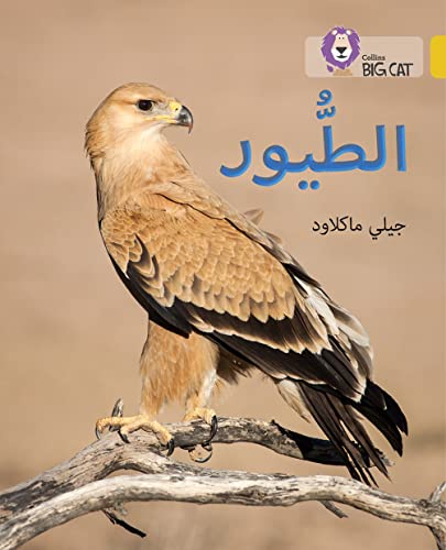 9780008156497: Collins Big Cat Arabic – Birds: Level 9 (English and Arabic Edition)