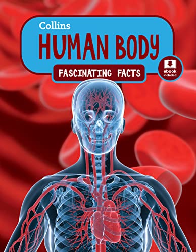 Beispielbild fr Human Body (Collins Fascinating Facts) zum Verkauf von WorldofBooks