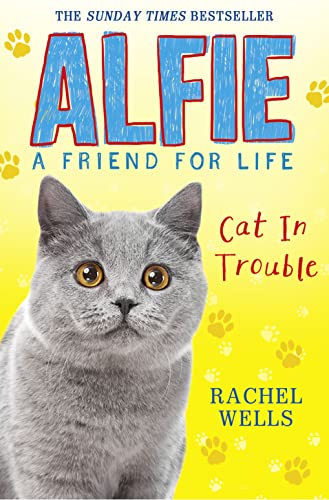 Stock image for Alfie Cat in Trouble for sale by Better World Books
