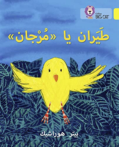 Stock image for Fly, Murjan!: Level 3 (KG) (Collins Big Cat Arabic Reading Programme) for sale by Chiron Media