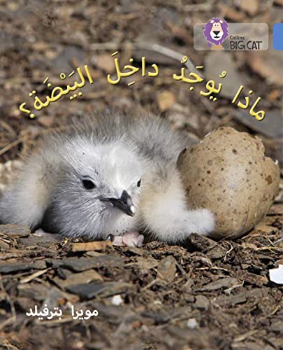 Stock image for What's in the Egg?: Level 4 (Collins Big Cat Arabic Reading Programme) for sale by Chiron Media