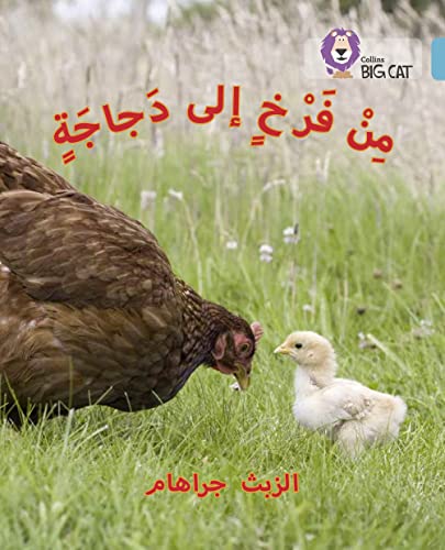 Stock image for Chick to Hen: Level 7 (Collins Big Cat Arabic Reading Programme) for sale by Chiron Media