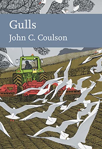 Stock image for Gulls (Collins New Naturalist Library) (Book 139) for sale by Books Unplugged