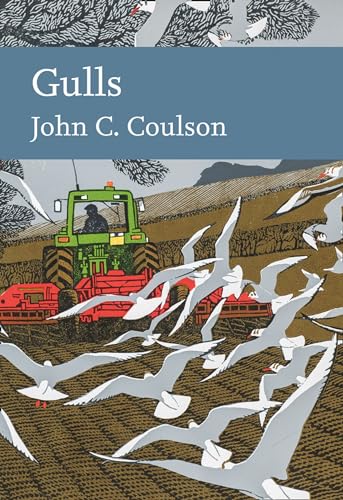 9780008201425: Gulls: Book 139 (Collins New Naturalist Library)