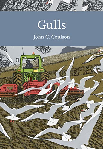 Stock image for GULLS. By Professor John C. Coulson. Collins New Naturalist Library No. 139. Paperback Edition. for sale by Coch-y-Bonddu Books Ltd