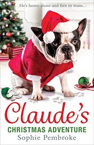 Beispielbild fr Claude's Christmas Adventure zum Verkauf von Better World Books